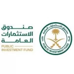 Government partner