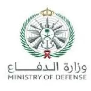 Government partner